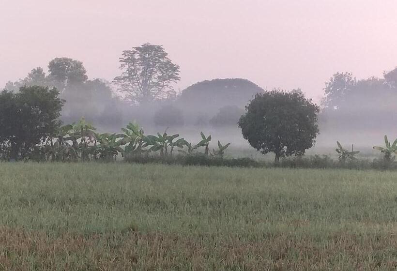 ガーデンビューデラックスルーム, ต้งโฮมหละปูน