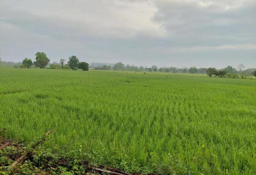 ガーデンビューデラックスルーム, ต้งโฮมหละปูน