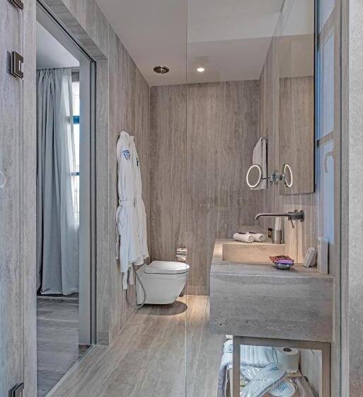 高级大房间, Hellenic Vibes Smart