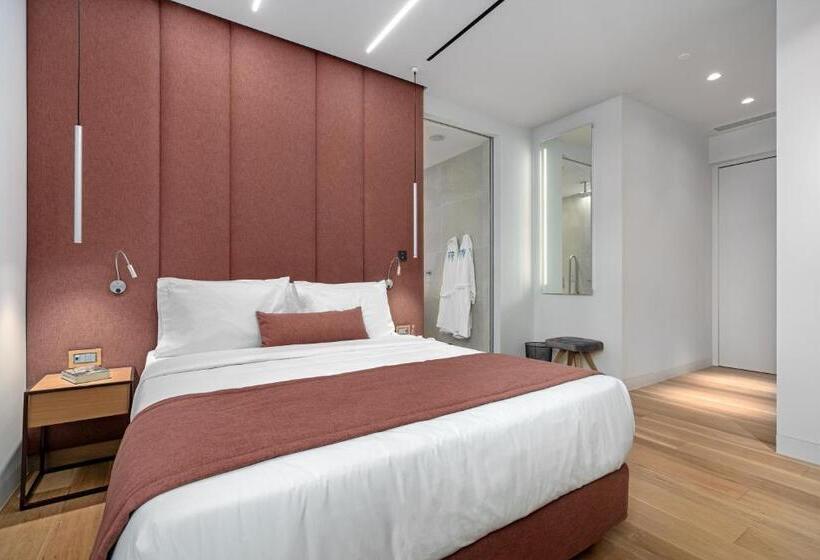 适合残疾人使用的标准间, Hellenic Vibes Smart