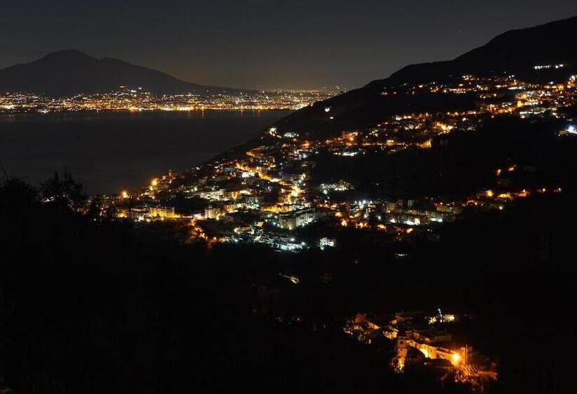 Апартаменты 1 Спальня с Террасой, Bed And Breakfast Sunflower