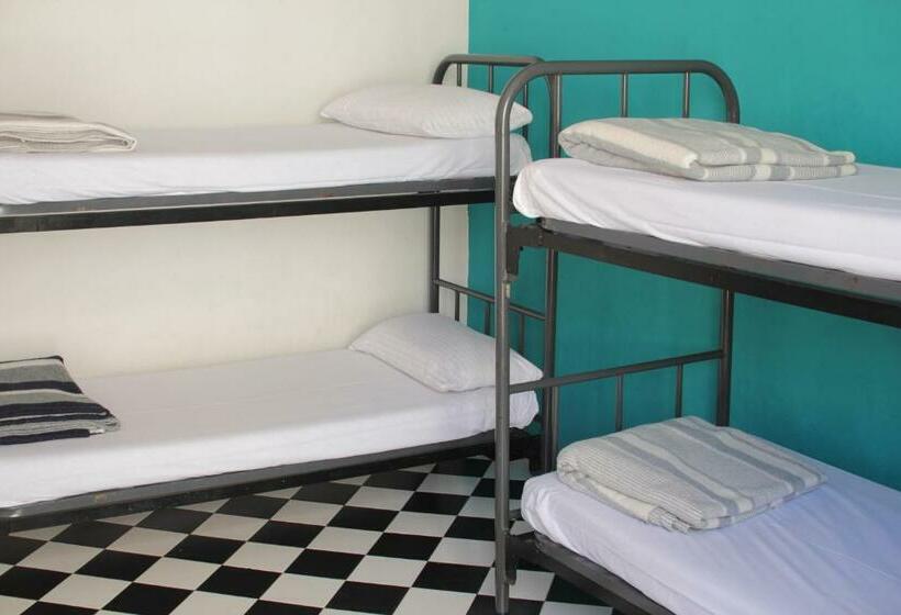 Bed in Shared Room with Shared Bathroom, Hostel New York