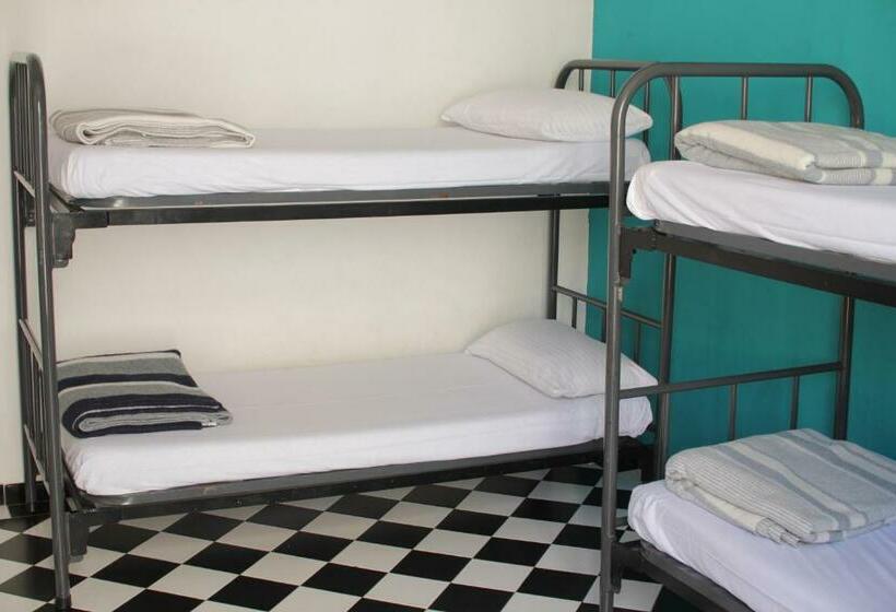 Bed in Shared Room with Shared Bathroom, Hostel New York