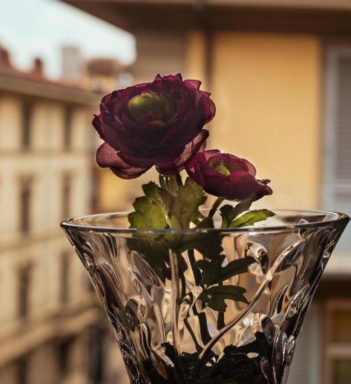 اتاق استاندارد, Angelica Firenze