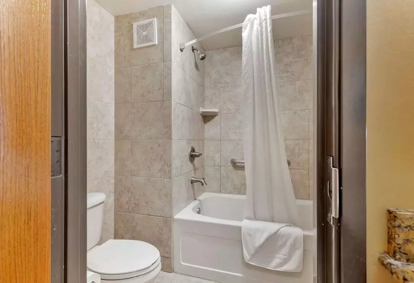 Sviitti, Best Western Plus Swiss Chalet Hotel & Suites