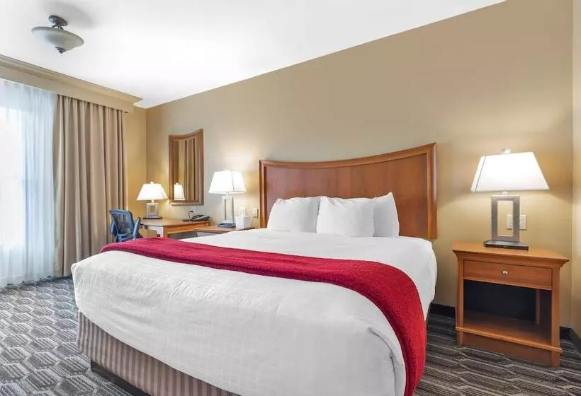 Sviitti, Best Western Plus Swiss Chalet Hotel & Suites