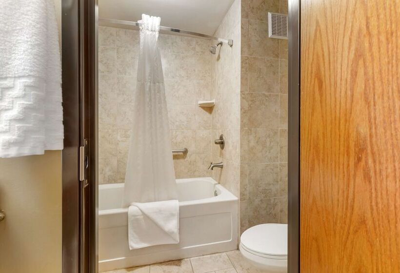 Номер Стандарт Двуспальная Кровать, Best Western Plus Swiss Chalet Hotel & Suites