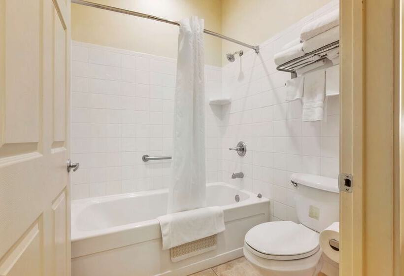 غرفه قياسيه سريرين مزدوجين, Best Western Plus Swiss Chalet Hotel & Suites