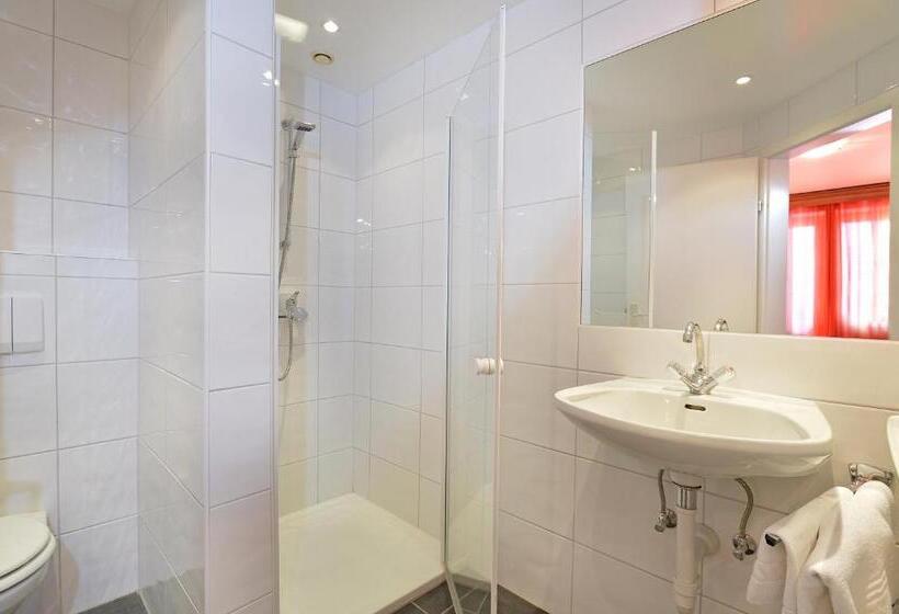 Номер Стандарт с Балконом, Edelweiss