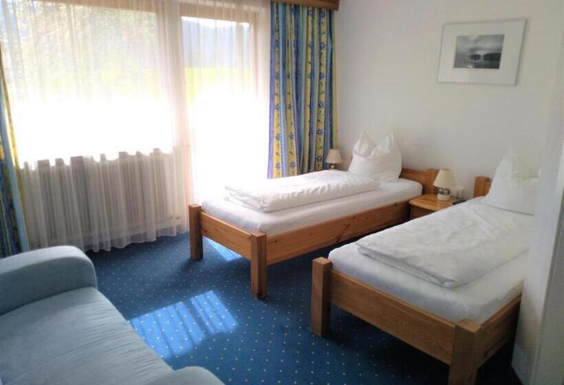 Номер Стандарт с Балконом, Edelweiss