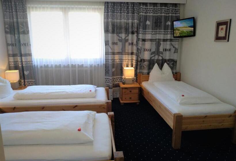 Трежместный Номер Economy, Edelweiss