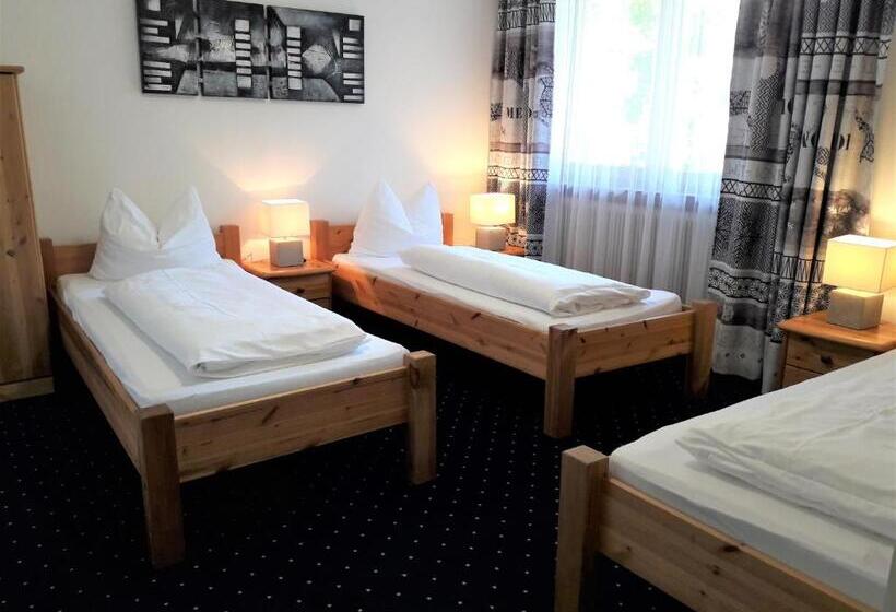 Трежместный Номер Economy, Edelweiss