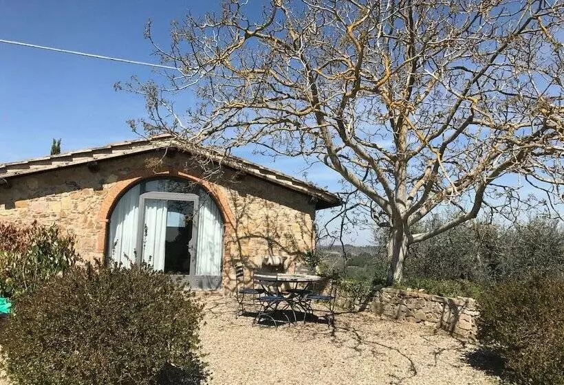 Standard-studio, Quercia Al Poggio
