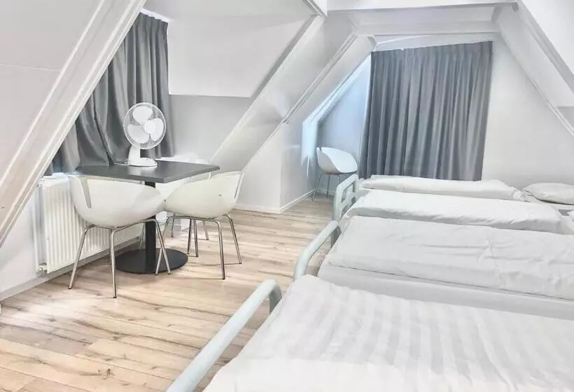 浴室共有スタンダード４人用ルーム, The White Tulip Hostel