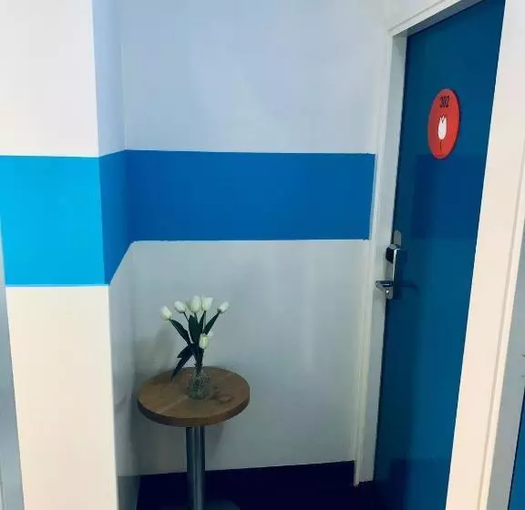 スタンダードルーム、2段ベッド共用バスルーム, The White Tulip Hostel