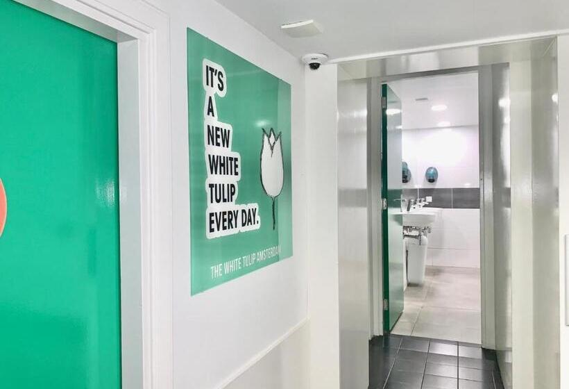 غرفة قياسية سرير بطابقين مزودة بحمام مشترك, The White Tulip Hostel