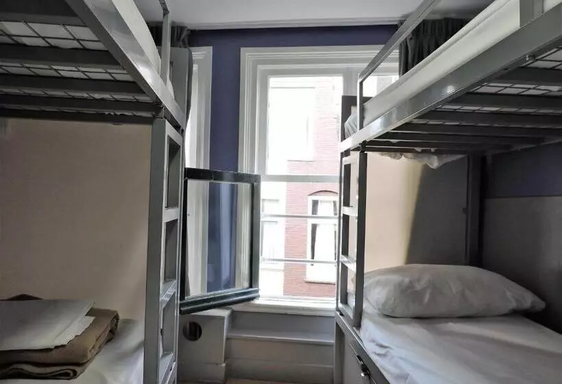 ルームシェアのワンベッド, The White Tulip Hostel