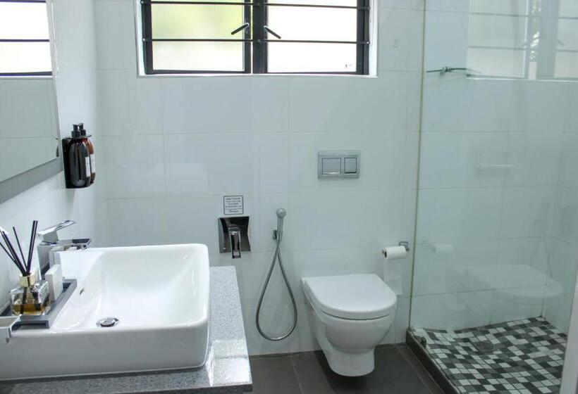 스탠다드 룸, The Raz