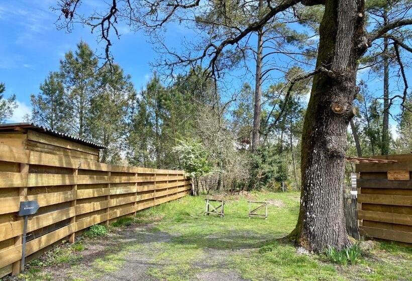 디럭스 룸, Escale Sous Le Chêne