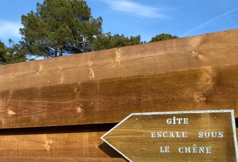 Номер Deluxe, Escale Sous Le Chêne