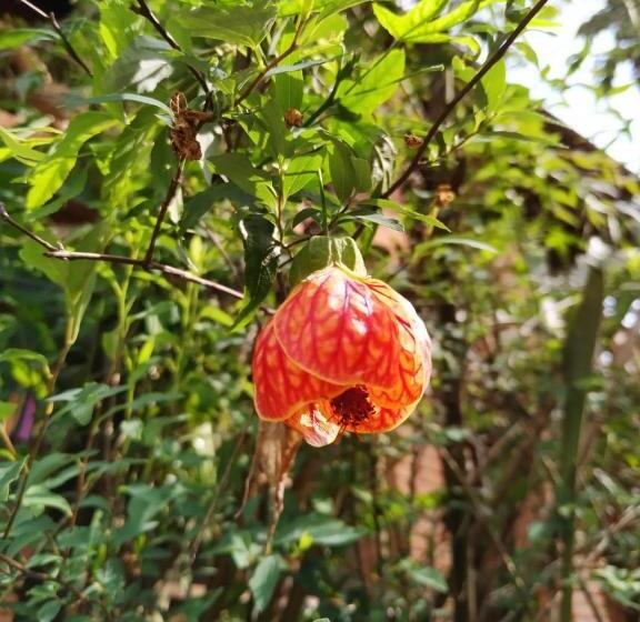 اتاق استاندارد, Pousada Recanto Dos Anjos