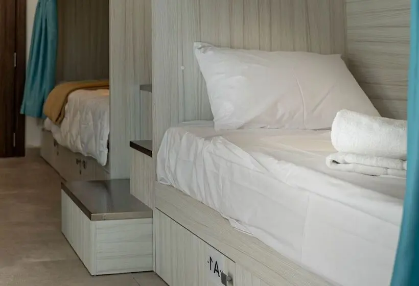 تختخواب در اتاق مشترک, The Rose Hostel