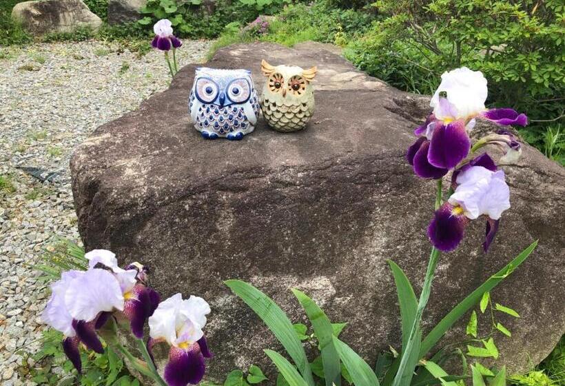 خانه 1 خوابه, Fukurou No Oyado   Vacation Stay 71243v