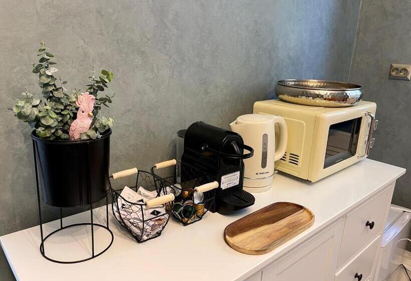 اتاق استاندارد با تخت بزرگ, Chic Home