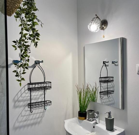 اتاق استاندارد با تخت بزرگ, Chic Home