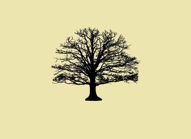 标准间, Pousada Patriarca Silva