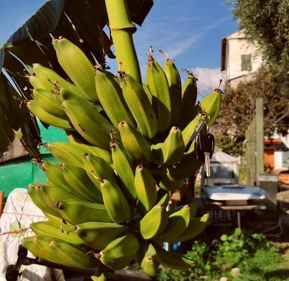 شقة غرفة واحدة, Romantic Casa Lorenzina Affittacamere