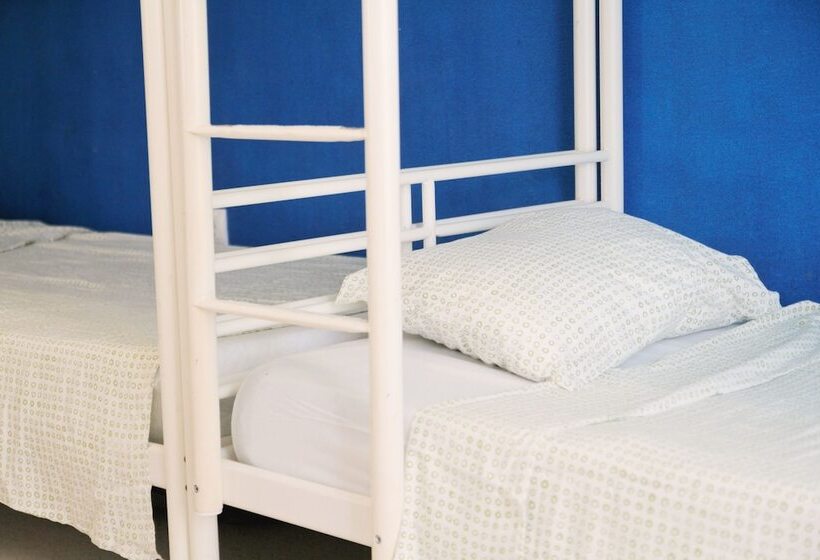 اتاق استاندارد چهارنفره با سرویس بهداشتی مشترک, Cádiz Inn Hostel