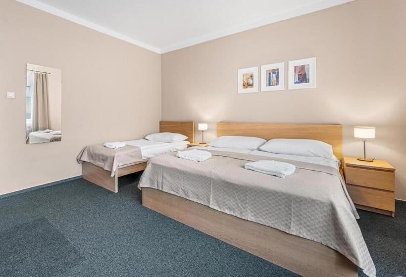 اتاق استاندارد سه نفره, Pension Petit