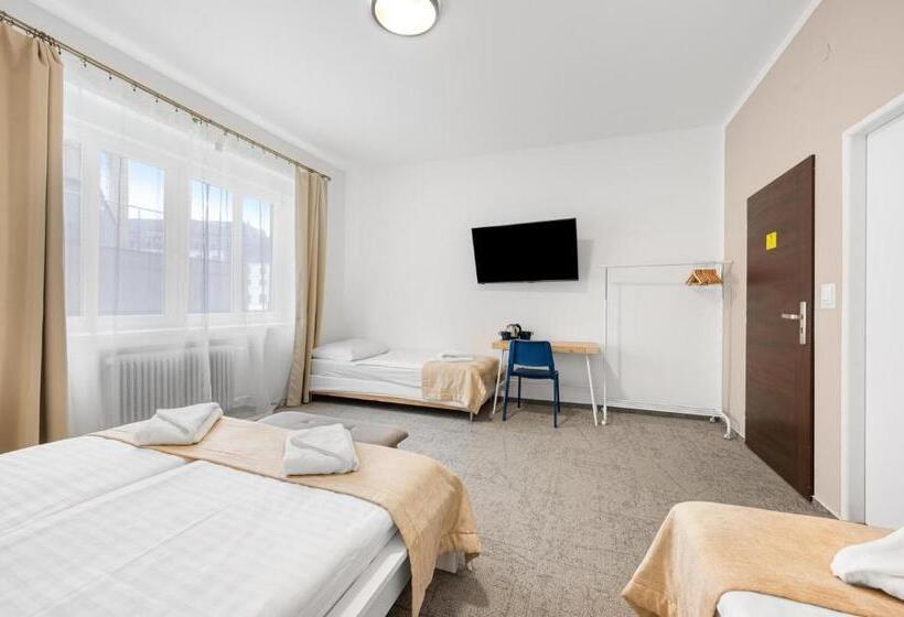 اتاق استاندارد چهار تخته, Pension Petit