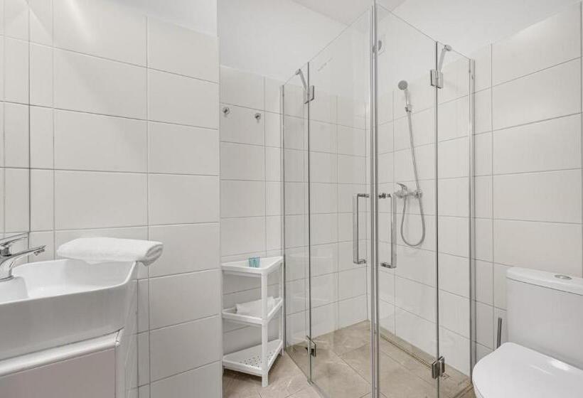 اتاق اکونومی, Pension Petit