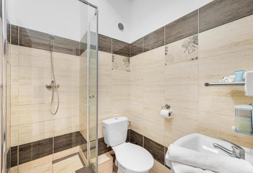 اتاق اکونومی, Pension Petit