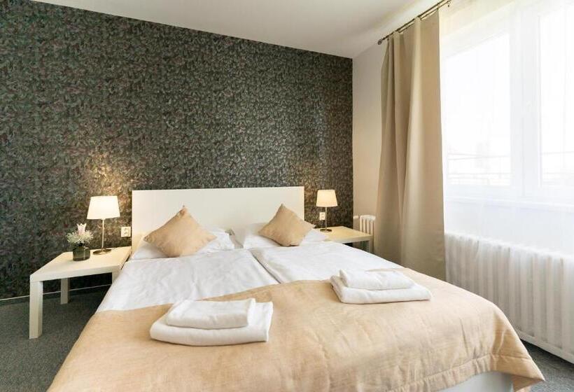 اتاق استاندارد با تراس, Pension Petit