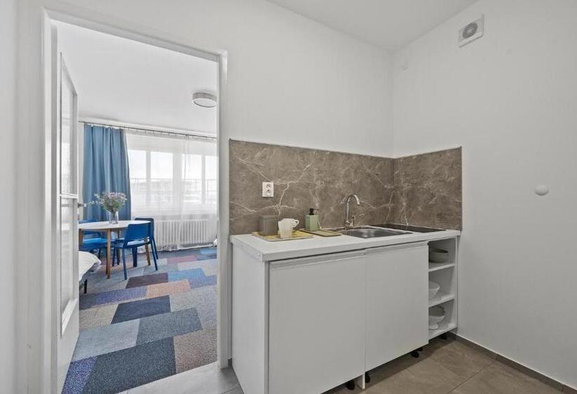 استودیوی استاندارد, Pension Petit