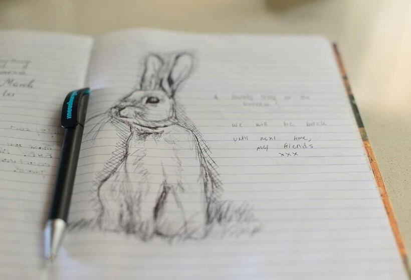 اتاق لوکس یک تخته, The Burrow Guest House