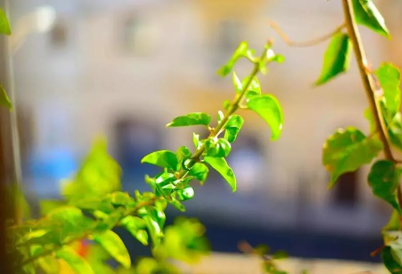 اتاق استاندارد با چشم‌انداز باغ, The Burrow Guest House