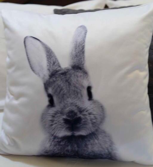 اتاق استاندارد با چشم‌انداز باغ, The Burrow Guest House