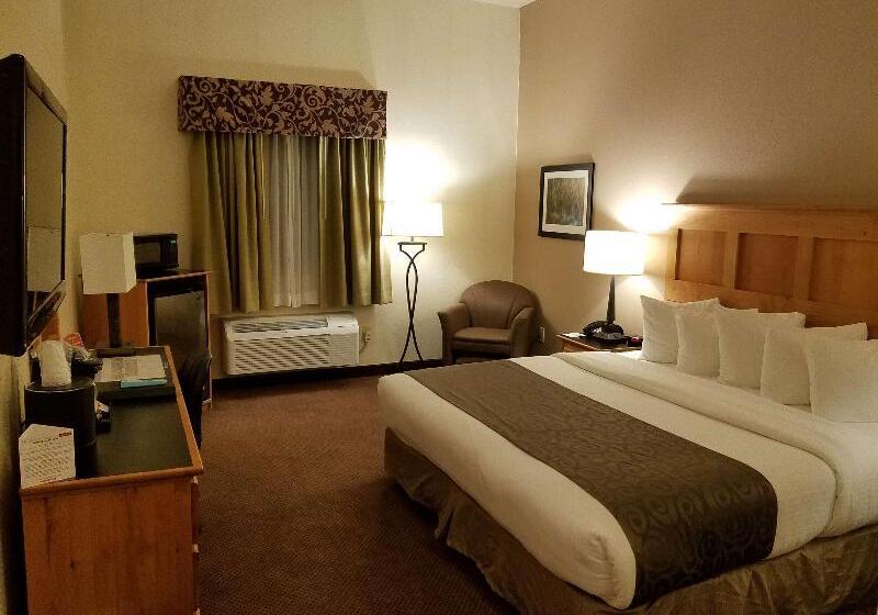 غرفة قياسية سرير كينج, Best Western Brighton Inn