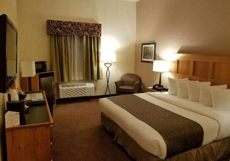 キングサイズベッドのスタンダードルーム, Best Western Brighton Inn