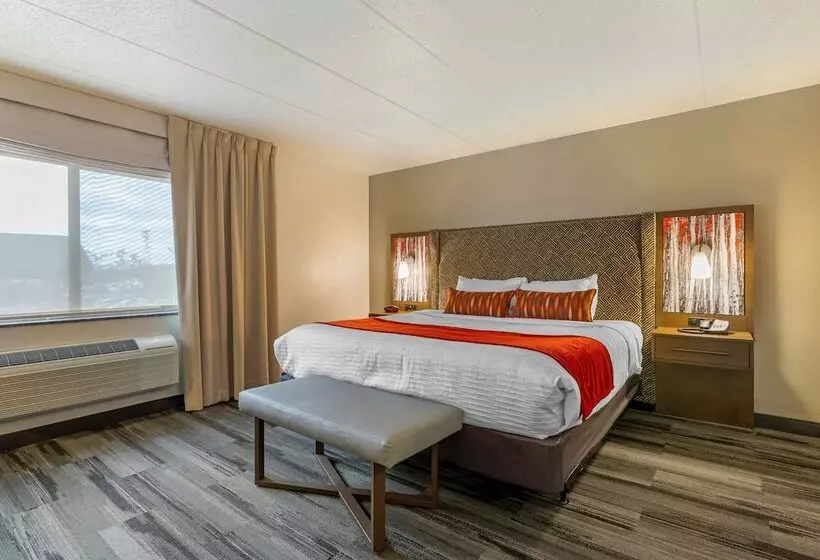 سوییت, Best Western Plus Mccall Lodge And Suites