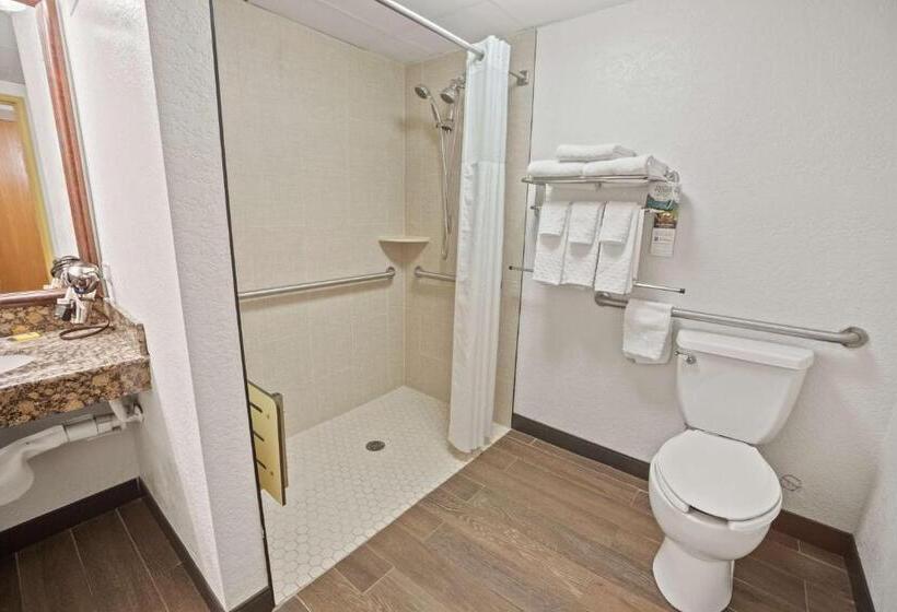 身障者適用スタンダードルーム, Best Western Plus Mccall Lodge And Suites