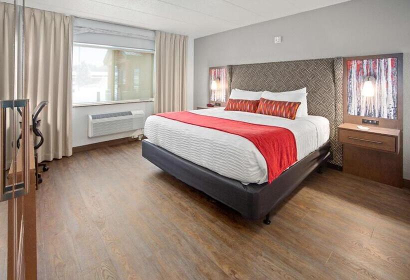 身障者適用キングサイズベッドルーム, Best Western Plus Mccall Lodge And Suites