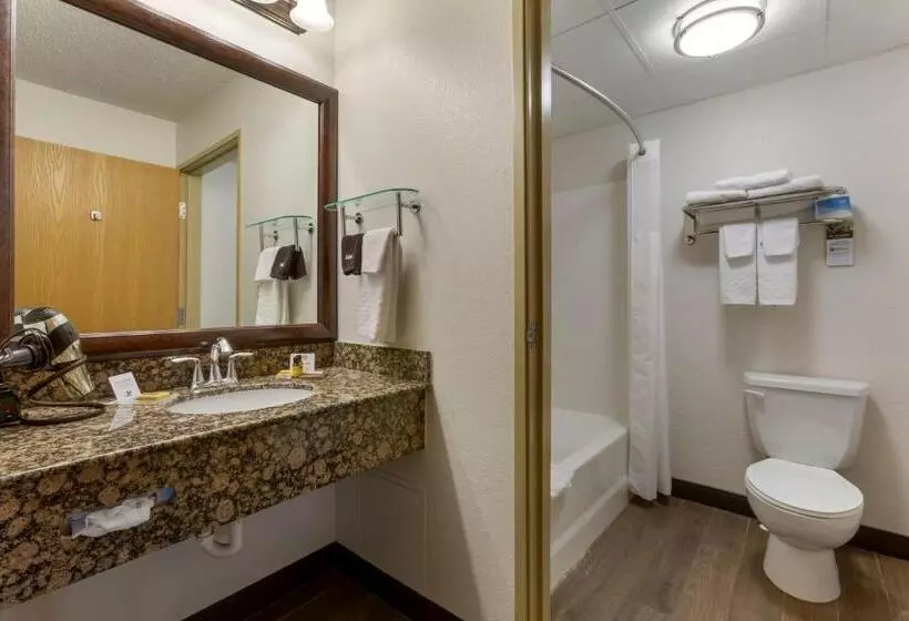 سوئیت با تخت بزرگ, Best Western Plus Mccall Lodge And Suites