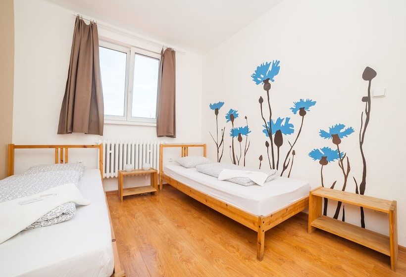 اتاق استاندارد چهارنفره با سرویس بهداشتی مشترک, Patio Hostel