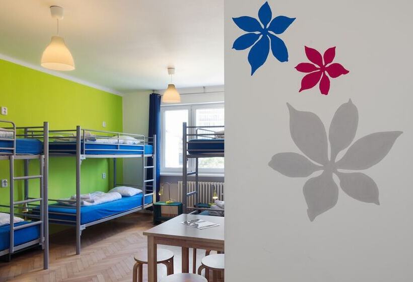 تختخواب در اتاق مشترک, Patio Hostel