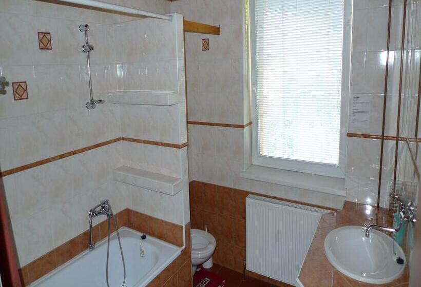 带1个卧室的公寓, Penzion Fantázia Michalová